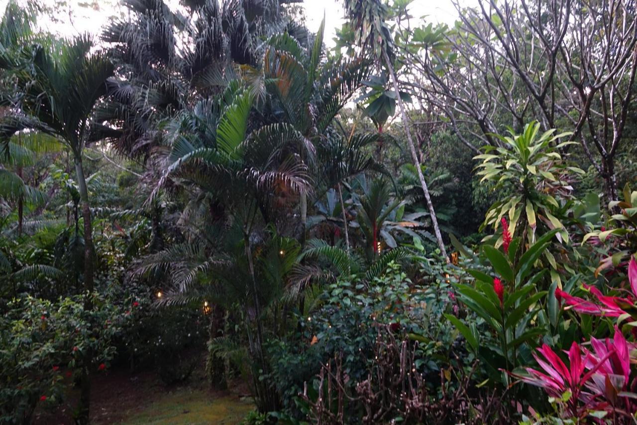Dos Casitas *